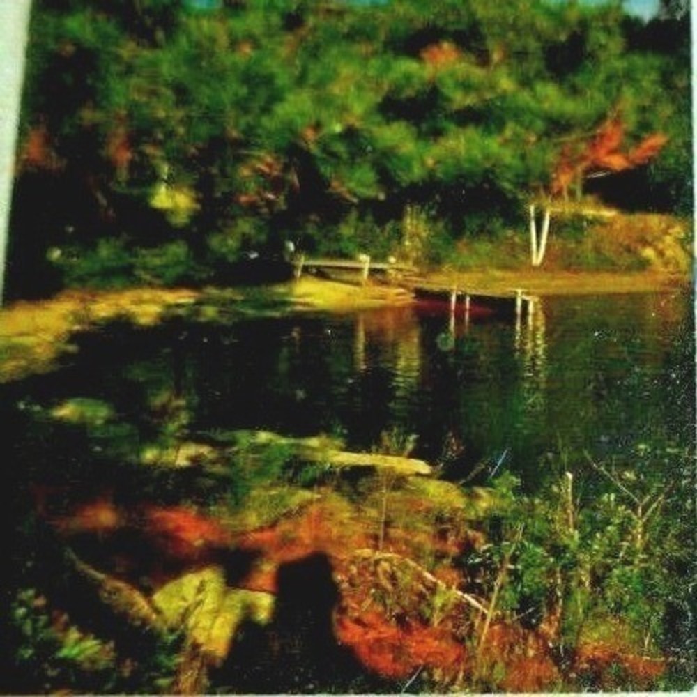 1958 Brush Island Harbor Stereo Slide Stereoview 3D Photo Pine Trees Dock